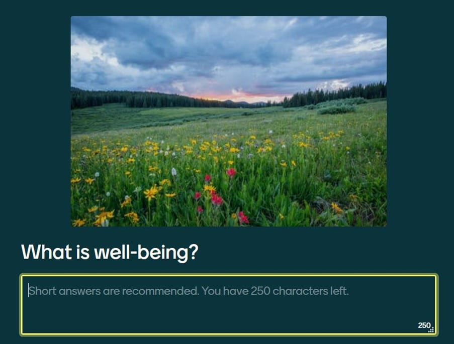  a screenshot of one of the Mentimeter questions from session one that features a picture of a field of wildflowers and underneath that the question ‘What is well-being?’ followed by a free-form text box for participants to enter their responses. These were then discussed by presenters and used to frame the next part of the presentation